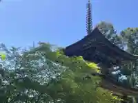 国宝 大法寺(長野県)