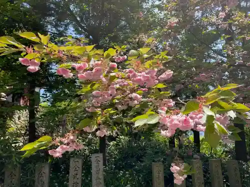 成相寺(京都府)
