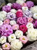 伊達神社の手水舎