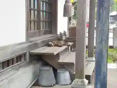 秋葉神社の動物