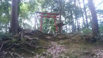小丸山稲荷神社の鳥居