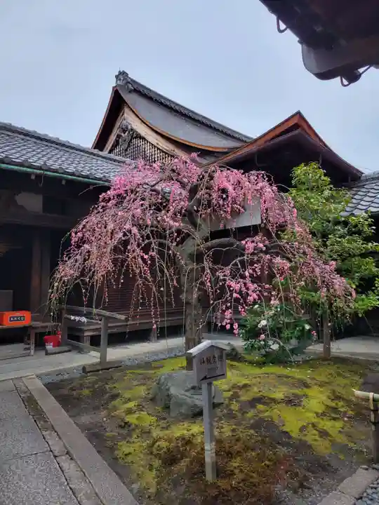 観智院(東寺子院)(京都府)