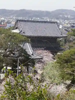 光明寺の本殿・本堂