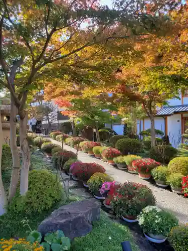 宝徳寺(群馬県)