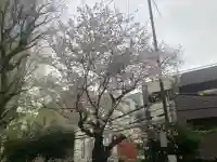 狸穴稲荷社の{uncategorized: "未分類", other: "その他", undefined: "問題あり", building: "その他建物", grave: "お墓", sacred_gate: "鳥居", guardian: "狛犬", statue: "像", buddha: "仏像", history: "歴史", nature: "自然", garden: "庭園", animal: "動物", pagoda: "塔", temizu: "手水舎", mountain_gate: "山門・神門", sanctuary: "本殿・本堂", subordinate: "末社・摂社", art: "芸術", scenery: "景色", jizo: "地蔵", ema: "絵馬", goshuin: "御朱印", omikuji: "おみくじ", items: "授与品その他", amulet: "お守り", goshuincho: "御朱印帳", eats: "食事", festival: "お祭り", votive_dance: "神楽", shichigosan: "七五三参", wedding: "結婚式", experience: "体験その他", initially: "初詣", around: "周辺", anti_infection: "感染症対策"}