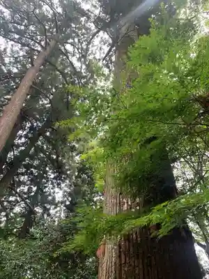 水澤寺(水澤観世音)(群馬県)