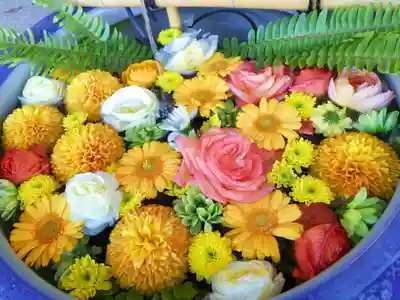 多賀神社の手水舎