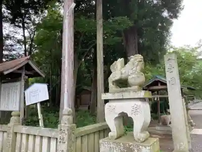 土居神社の狛犬