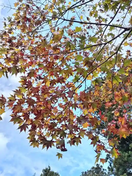 鹿島大神宮(福島県)