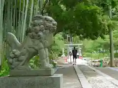 建長寺の狛犬