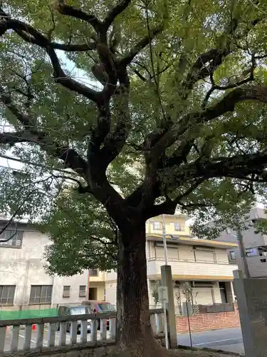 八雲社(埼玉県)
