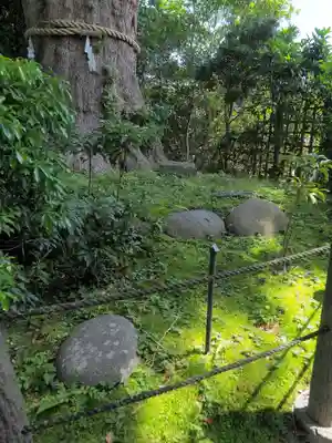 荏柄天神社(神奈川県)