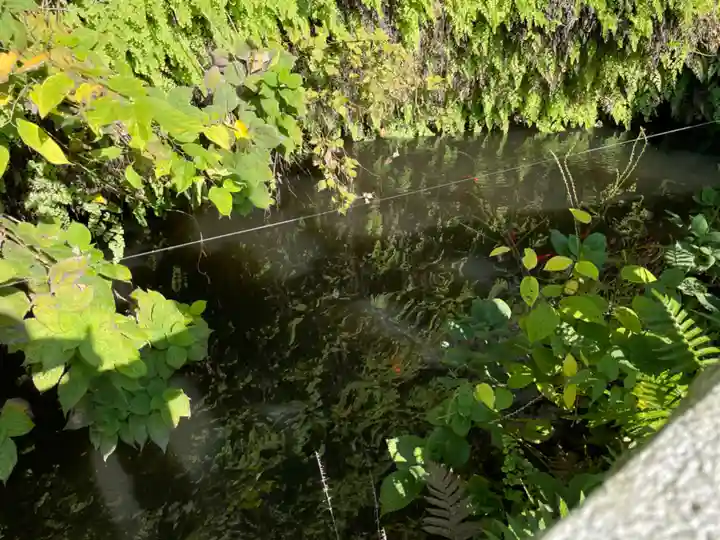 銭洗弁財天宇賀福神社(神奈川県)