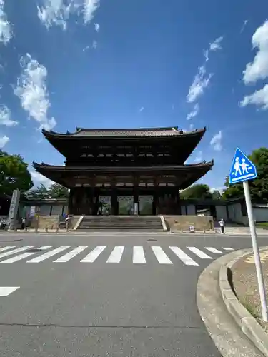 仁和寺の山門