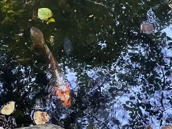 白石神社(北海道)