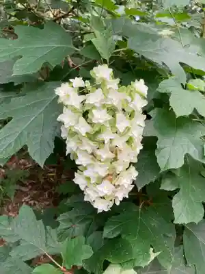 大宝八幡宮(茨城県)