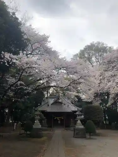 中氷川神社の本殿