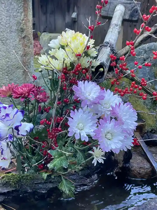 正寿院(京都府)