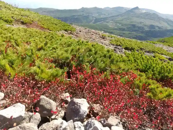 祠(大雪神社奥の院)(北海道)