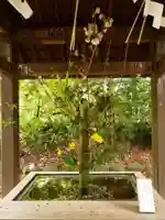 赤坂氷川神社(東京都)