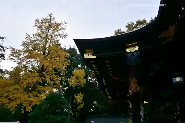 秩父神社(埼玉県)