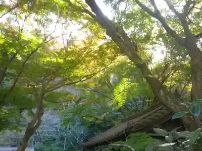 瑞泉寺のその他建物