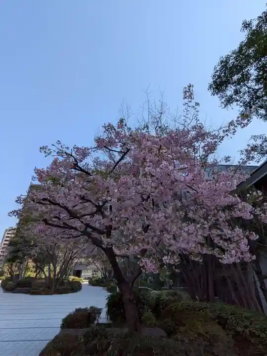淀橋咳止地蔵尊(東京都)