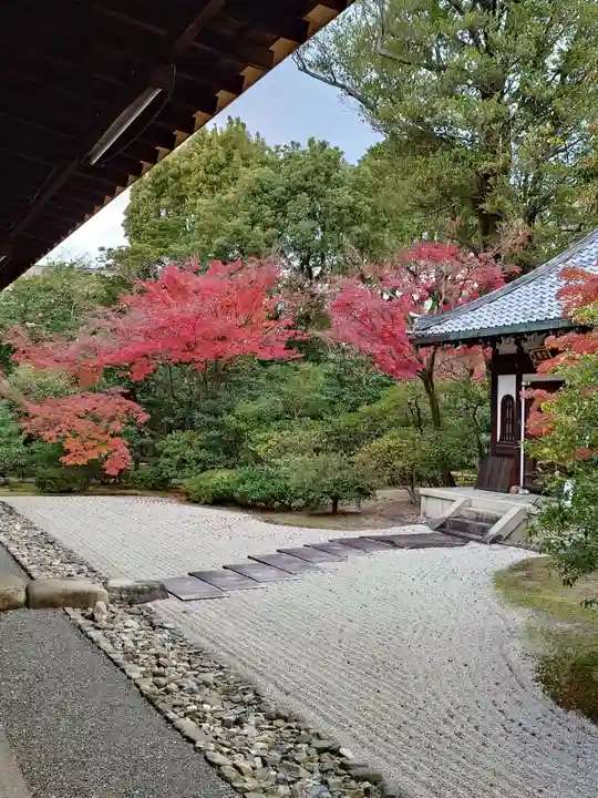 建仁寺(建仁禅寺)(京都府)