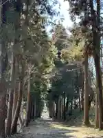 千代ケ岡八幡宮(栃木県)