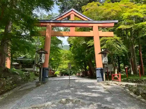 日吉大社の鳥居