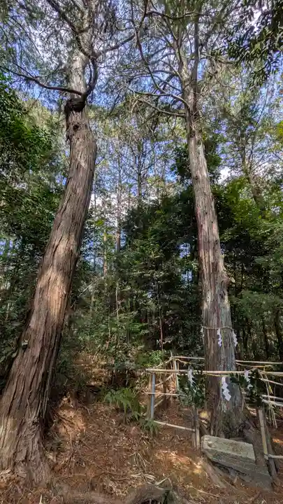 北小栗栖天神宮(京都府)