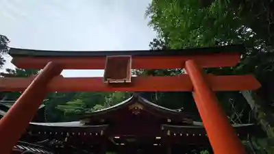 箱根神社(神奈川県)