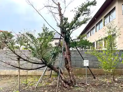 三ツ石神社(岩手県)