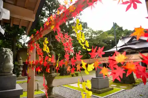 尻岸内八幡神社の手水