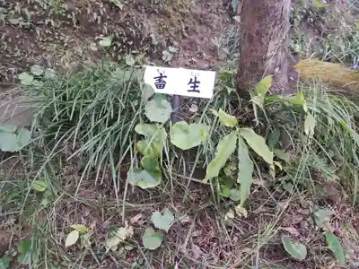 宝満寺(大分県)