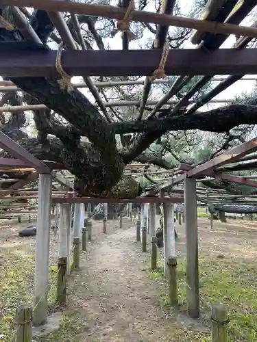 菅原神社(群馬県)