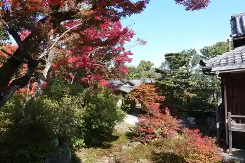 宝筐院(京都府)