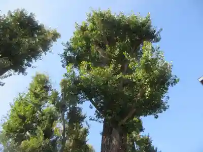 稲荷神社(東京都)
