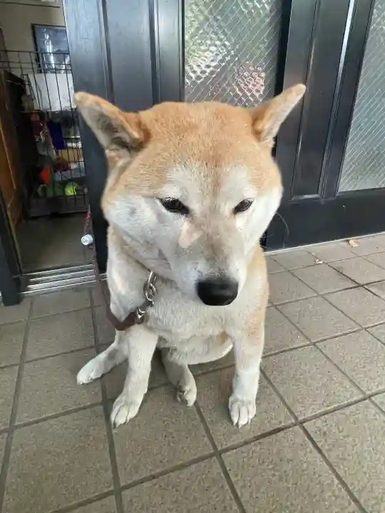 笠䅣稲荷神社(神奈川県)