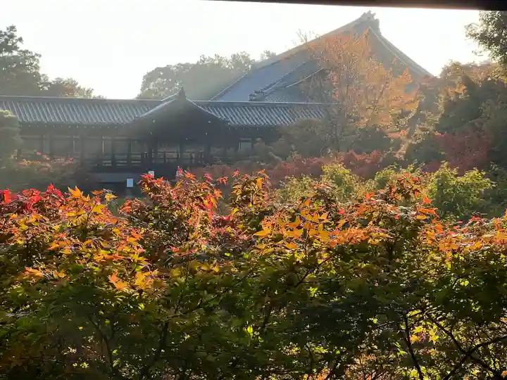 東福禅寺(東福寺)(京都府)