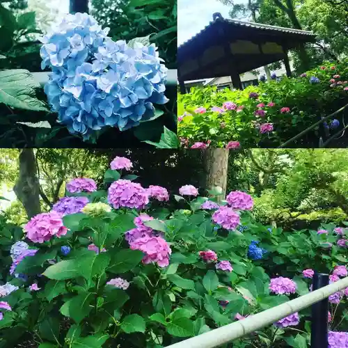 藤森神社の庭園