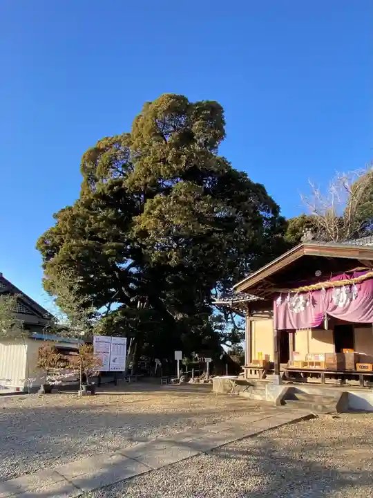 九重神社(埼玉県)