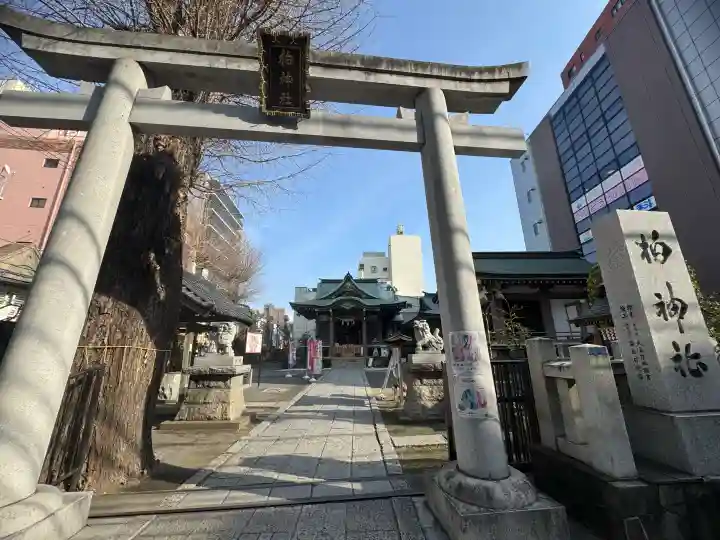 柏神社の{uncategorized: "未分類", other: "その他", undefined: "問題あり", building: "その他建物", grave: "お墓", sacred_gate: "鳥居", guardian: "狛犬", statue: "像", buddha: "仏像", history: "歴史", nature: "自然", garden: "庭園", animal: "動物", pagoda: "塔", temizu: "手水舎", mountain_gate: "山門・神門", sanctuary: "本殿・本堂", subordinate: "末社・摂社", art: "芸術", scenery: "景色", jizo: "地蔵", ema: "絵馬", goshuin: "御朱印", omikuji: "おみくじ", items: "授与品その他", amulet: "お守り", goshuincho: "御朱印帳", eats: "食事", festival: "お祭り", votive_dance: "神楽", shichigosan: "七五三参", wedding: "結婚式", experience: "体験その他", initially: "初詣", around: "周辺", anti_infection: "感染症対策"}