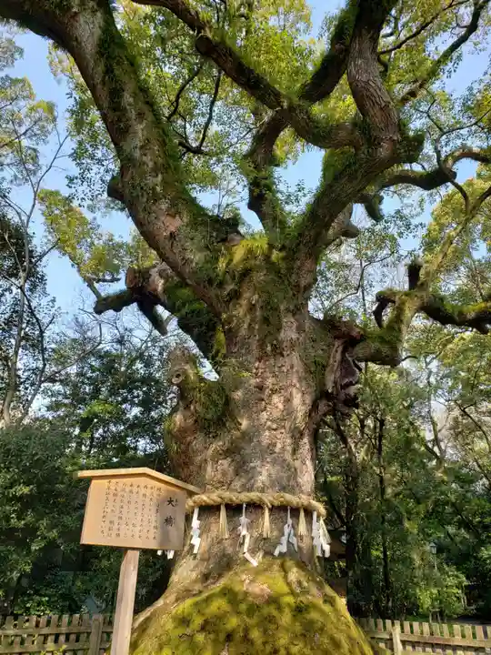 熱田神宮の自然