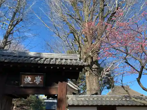 正一位霊験稲荷社の自然