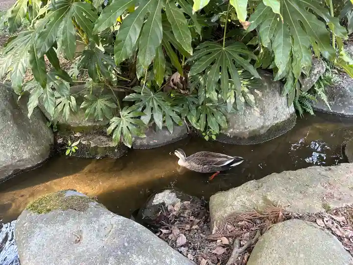 上杉神社(山形県)