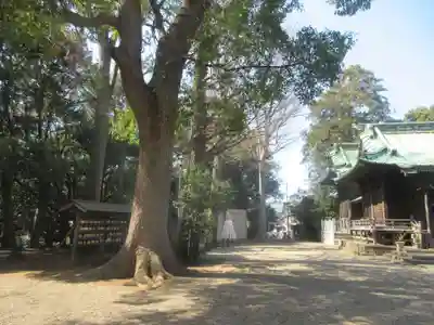 篠原八幡神社(神奈川県)