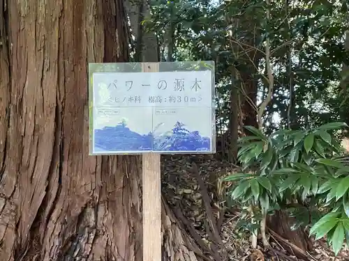 白髭神社の建物その他