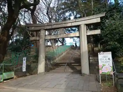 上野東照宮の鳥居
