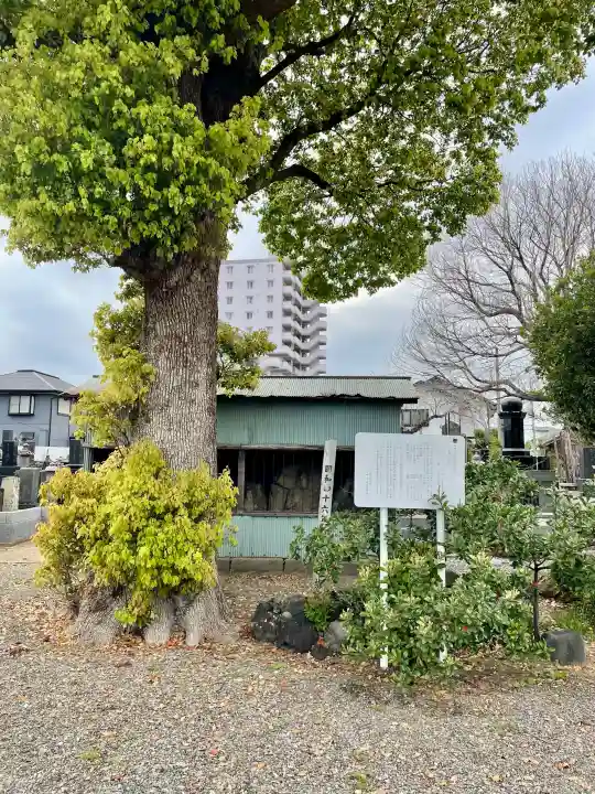 養報寺の{uncategorized: "未分類", other: "その他", undefined: "問題あり", building: "その他建物", grave: "お墓", sacred_gate: "鳥居", guardian: "狛犬", statue: "像", buddha: "仏像", history: "歴史", nature: "自然", garden: "庭園", animal: "動物", pagoda: "塔", temizu: "手水舎", mountain_gate: "山門・神門", sanctuary: "本殿・本堂", subordinate: "末社・摂社", art: "芸術", scenery: "景色", jizo: "地蔵", ema: "絵馬", goshuin: "御朱印", omikuji: "おみくじ", items: "授与品その他", amulet: "お守り", goshuincho: "御朱印帳", eats: "食事", festival: "お祭り", votive_dance: "神楽", shichigosan: "七五三参", wedding: "結婚式", experience: "体験その他", initially: "初詣", around: "周辺", anti_infection: "感染症対策"}